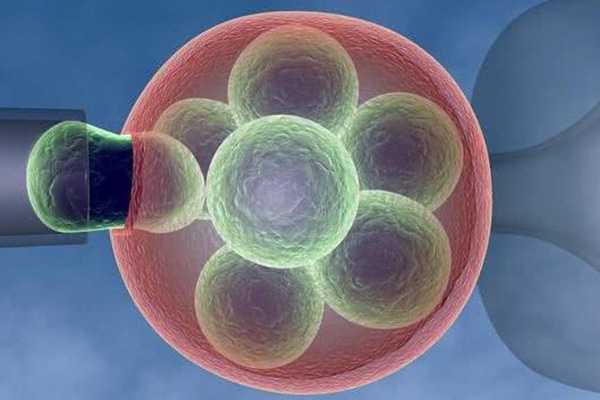 并非所有的胚胎都能养囊，9个胚胎能成功